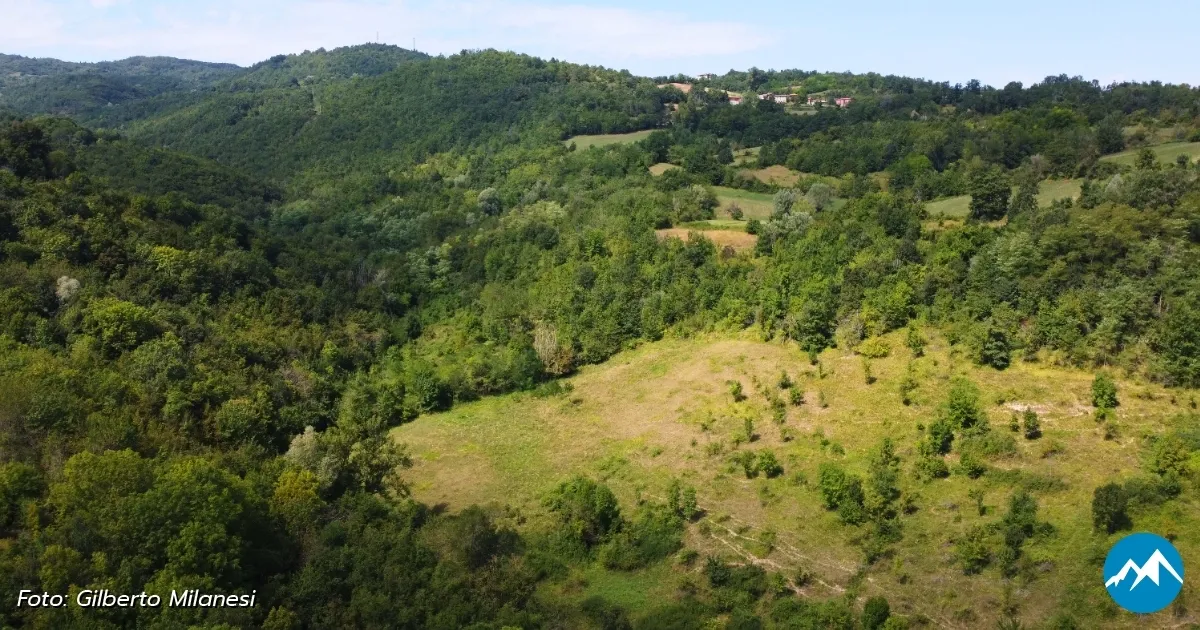 Immagine header 1 per Natura