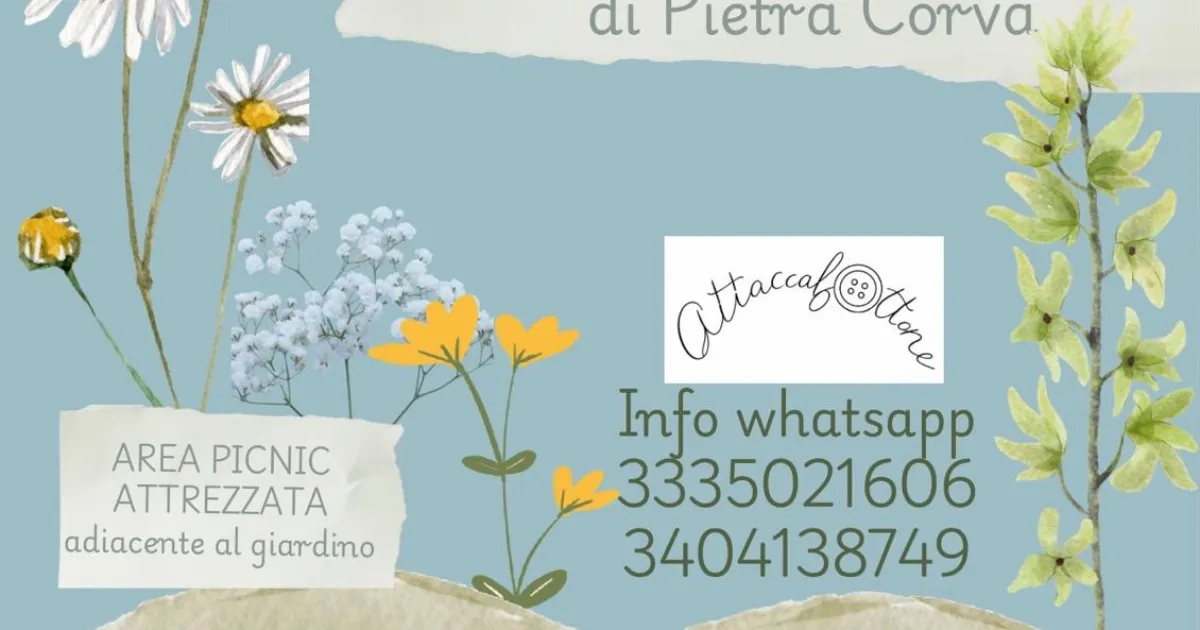 Immagine header 3 per Lettura e laboratorio creativo per bambini - Pietra Corva Lab