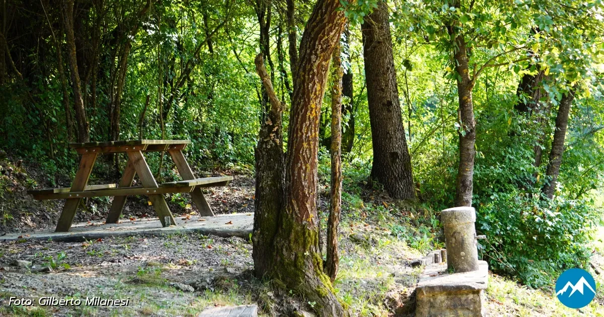 Immagine header 2 per Area Picnic 1: Piazzola di Panigà