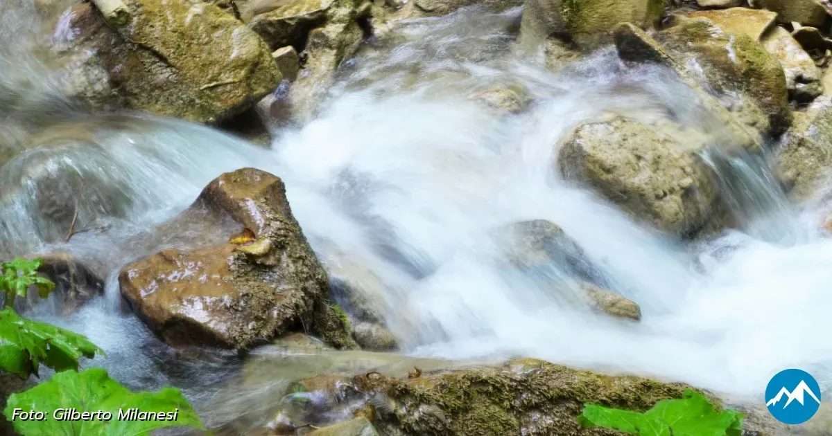 Immagine header 2 per Le Cascate del Rivarolo