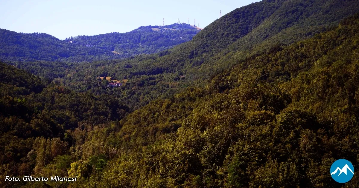 Immagine header 2 per Autunno