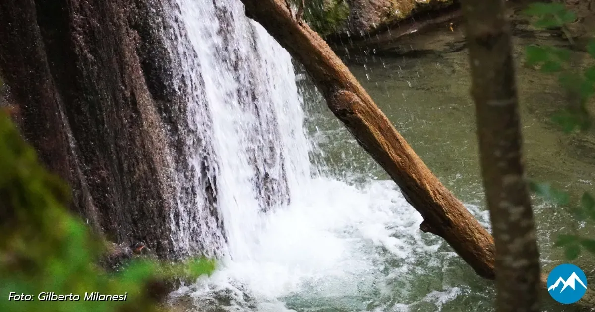 Immagine header 3 per Le Cascate del Rivarolo