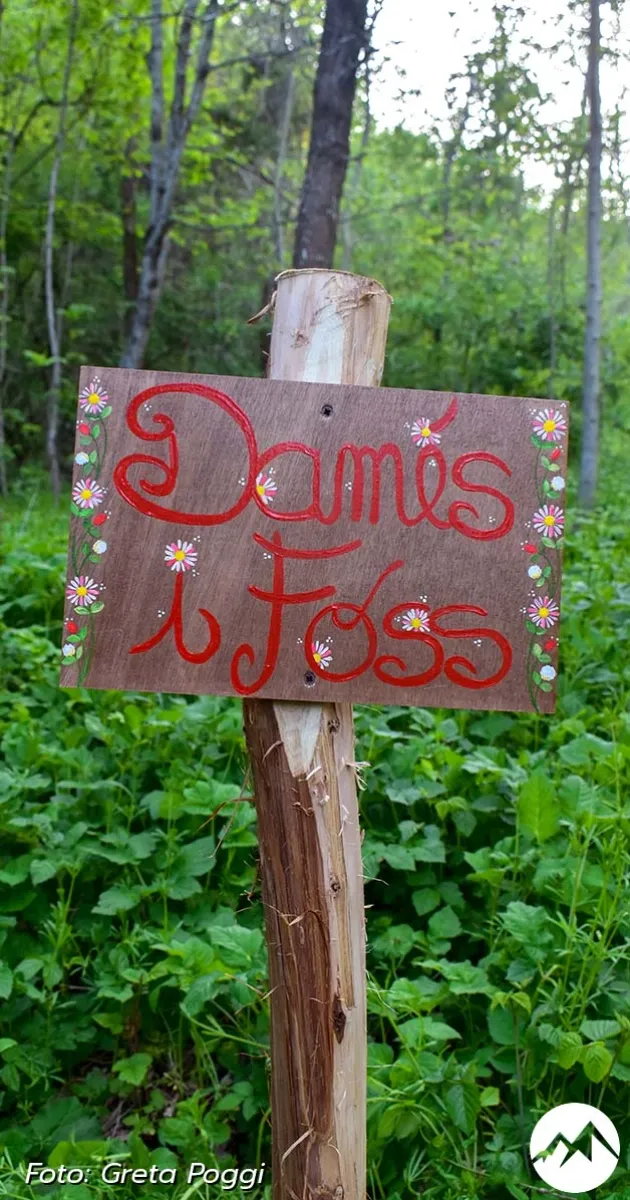 Immagine gallery 12 per Le Cascate del Rivarolo