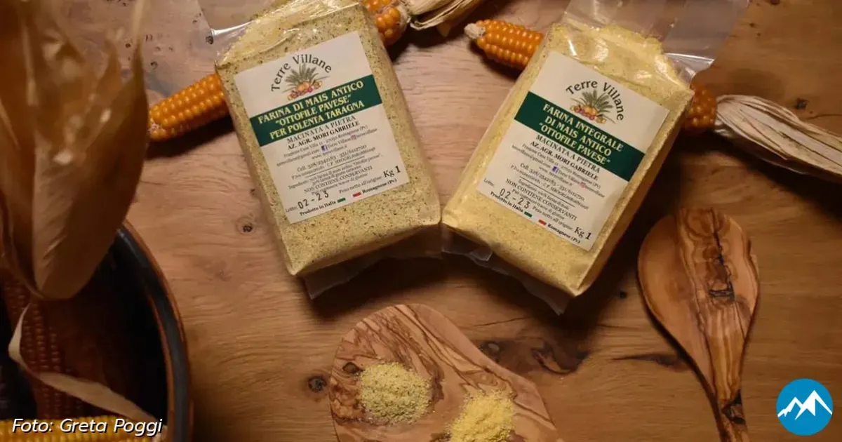 Immagine header 3 per Terre Villane