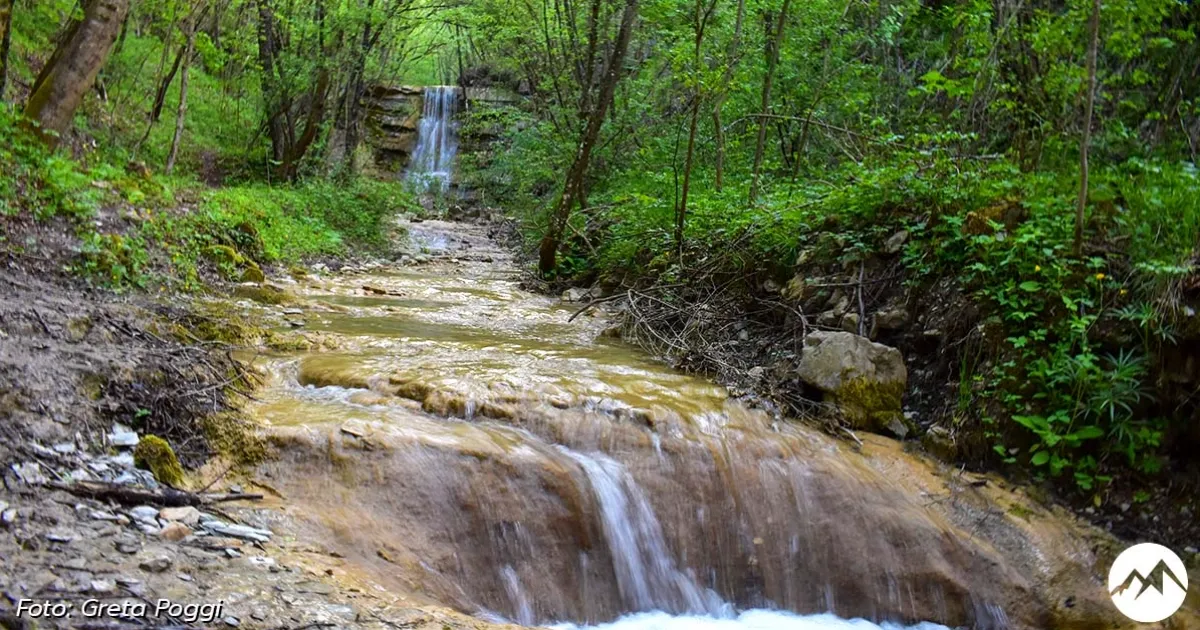 Immagine gallery 2 per Le Cascate del Rivarolo