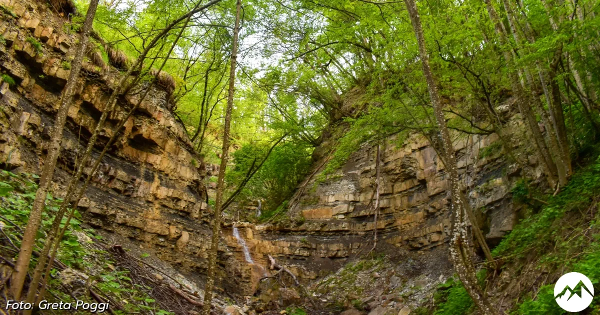 Immagine gallery 10 per Le Cascate del Rivarolo