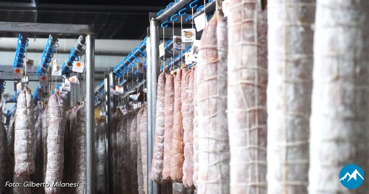 Immagine header 3 per Salame di Varzi DOP