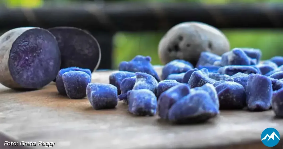 Immagine header 4 per Terre Villane