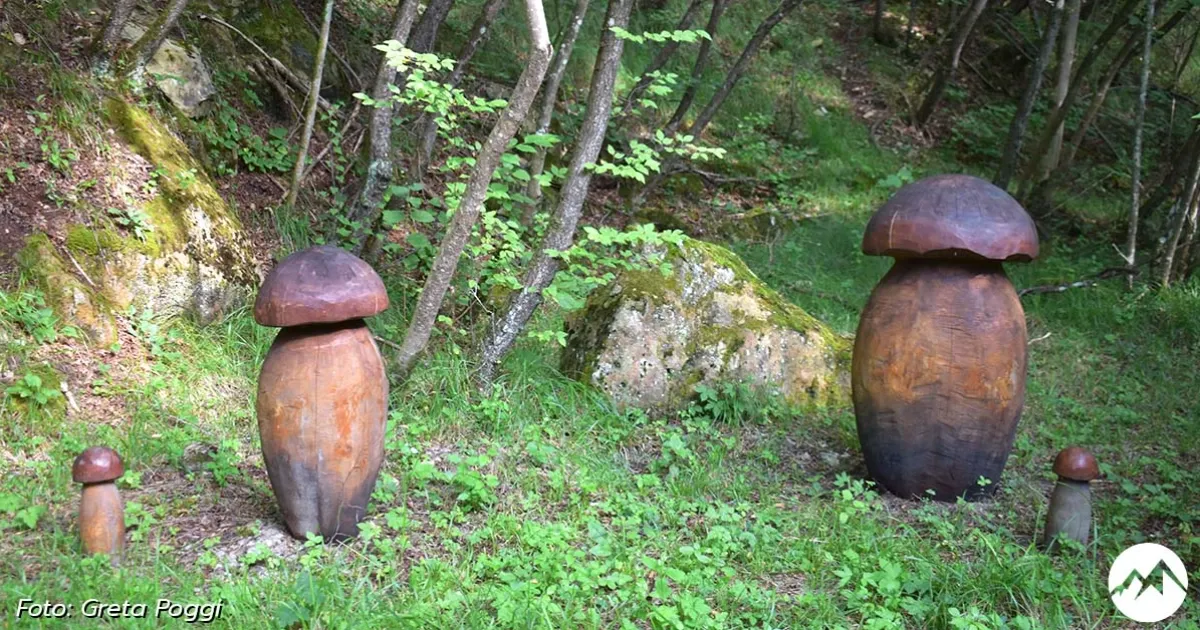 Immagine gallery 3 per Sentiero 10: Capannette - Mirǣi dal Cuass