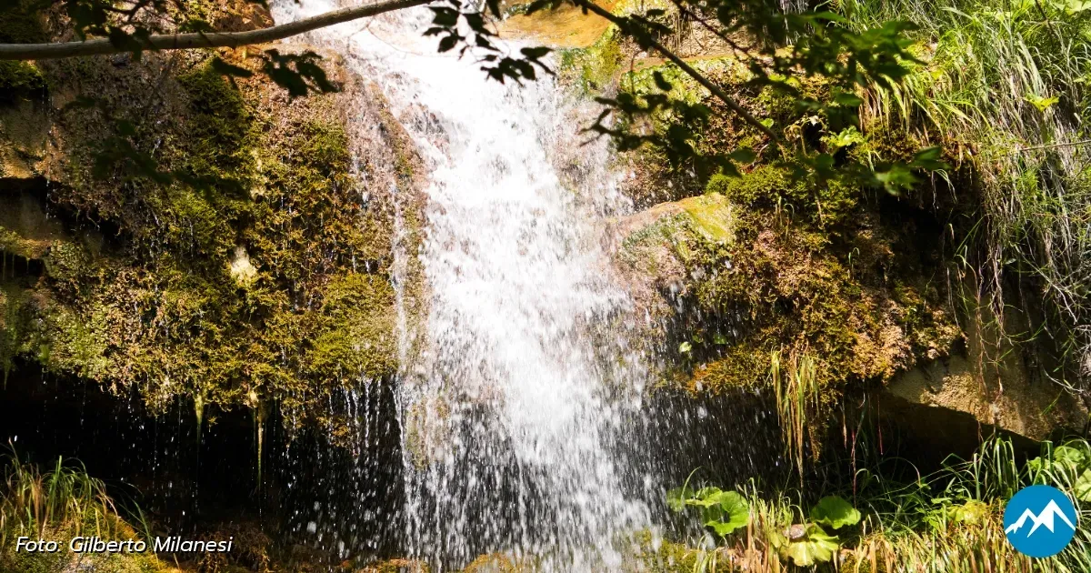 Immagine header 1 per Le Cascate del Rivarolo