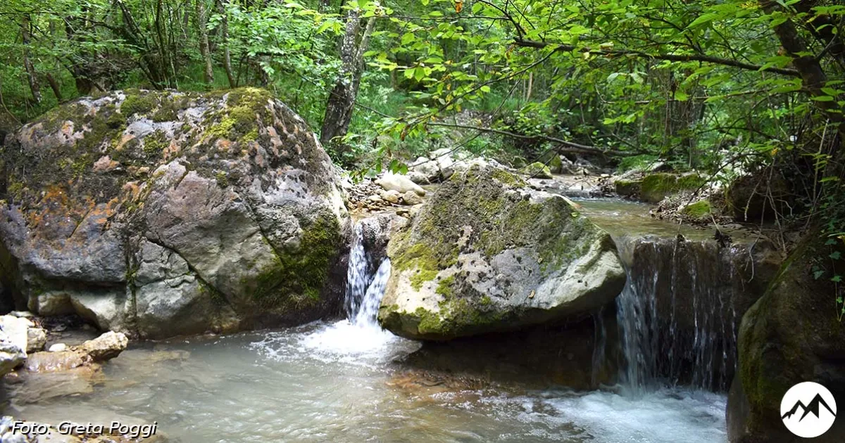 Immagine gallery 2 per Sentiero 10: Capannette - Mirǣi dal Cuass