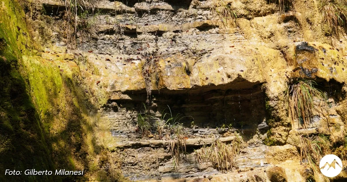 Immagine gallery 5 per Le Cascate del Rivarolo