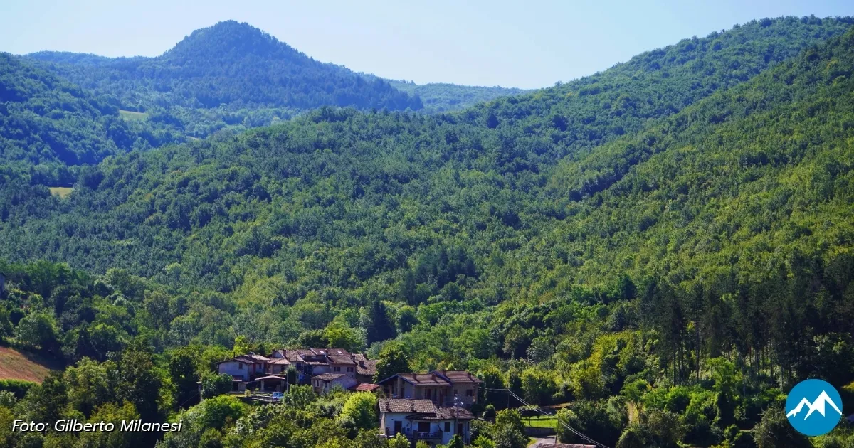 Immagine header 3 per Natura