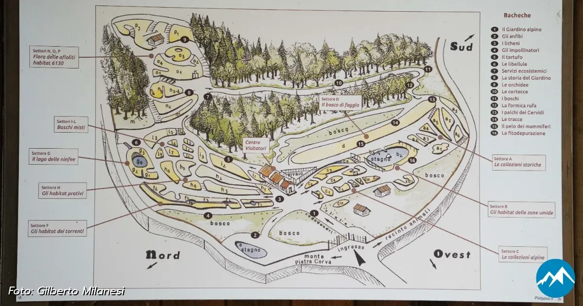 Immagine header 3 per Area Picnic 6: Giardino Botanico di Pietra Corva