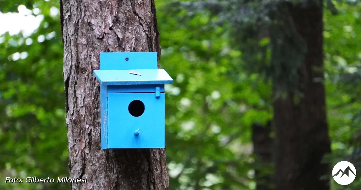 Immagine gallery 9 per Giardino Botanico di Pietra Corva