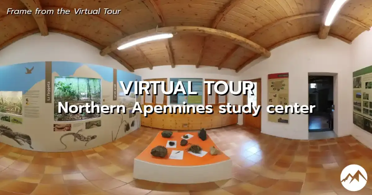 Watch the virtual tour