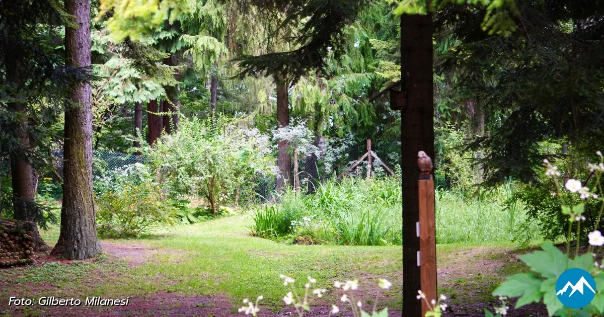 Immagine header 6 per Giardino Botanico di Pietra Corva
