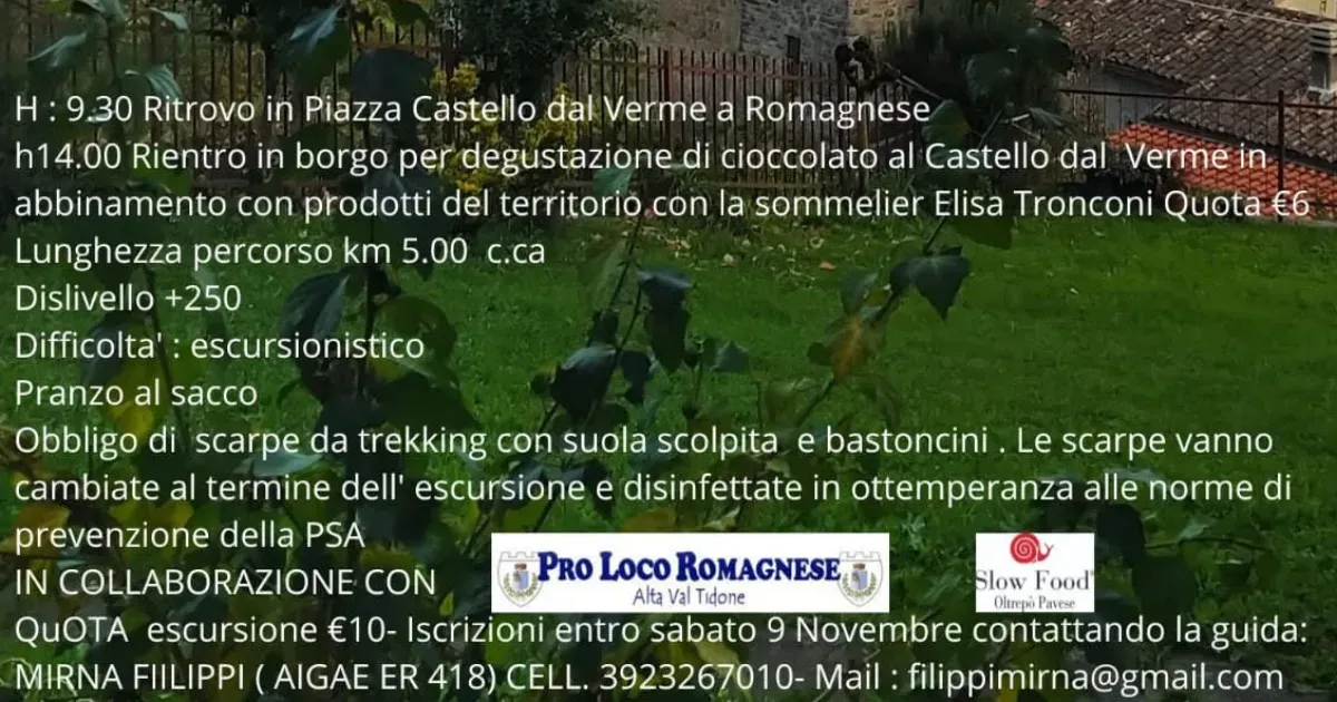 Immagine header 2 per Autunno in Dolcezza - Novembre 2024