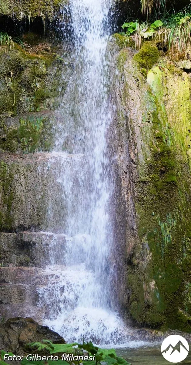 Immagine gallery 6 per Le Cascate del Rivarolo