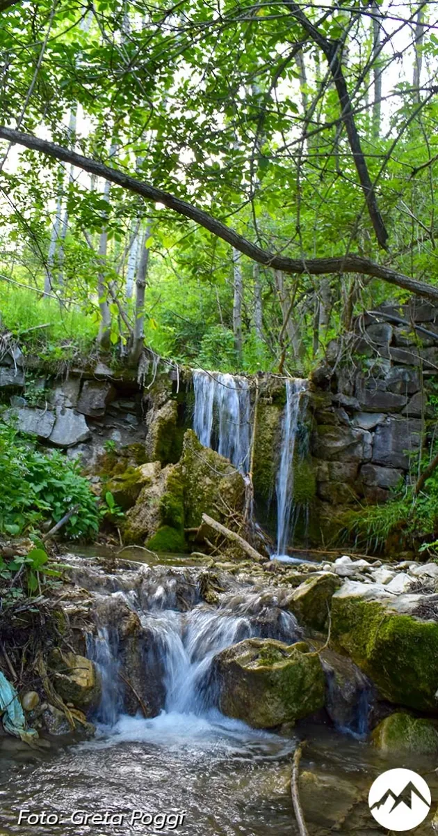 Immagine gallery 4 per Le Cascate del Rivarolo