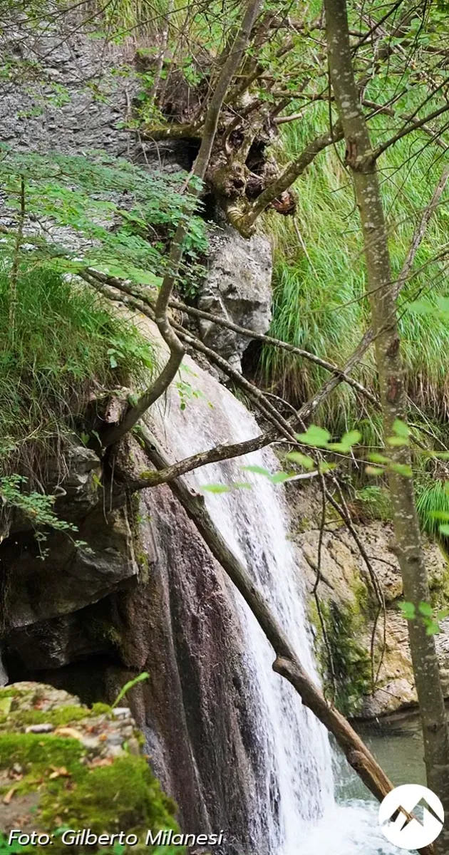 Immagine gallery 11 per Le Cascate del Rivarolo