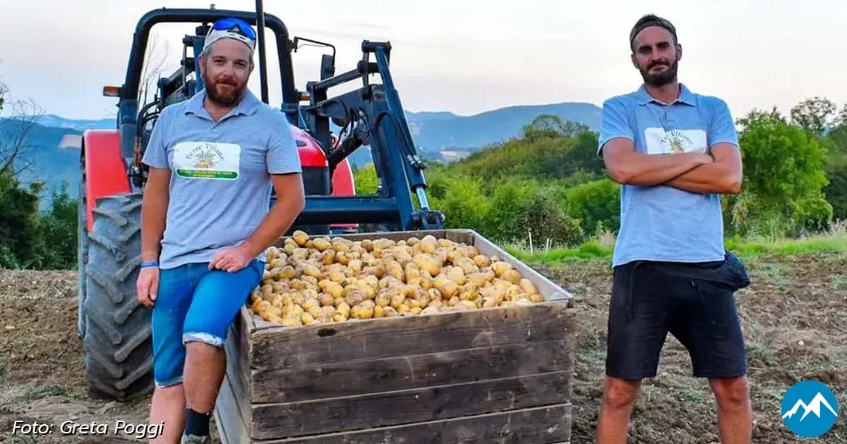 Immagine header 2 per Terre Villane