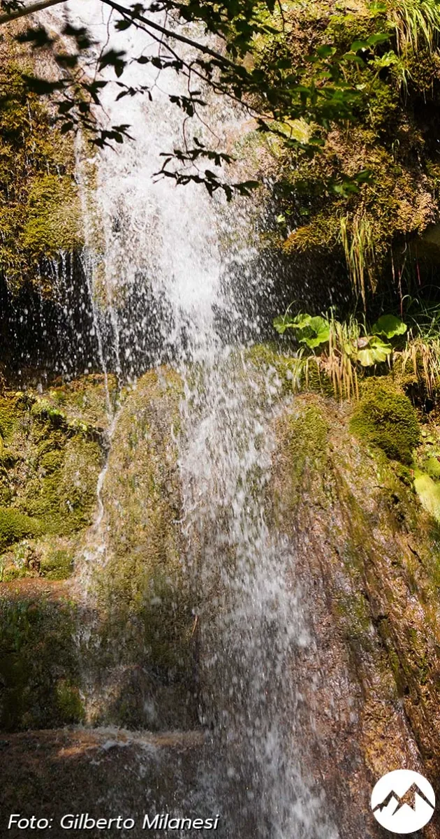 Immagine gallery 9 per Le Cascate del Rivarolo