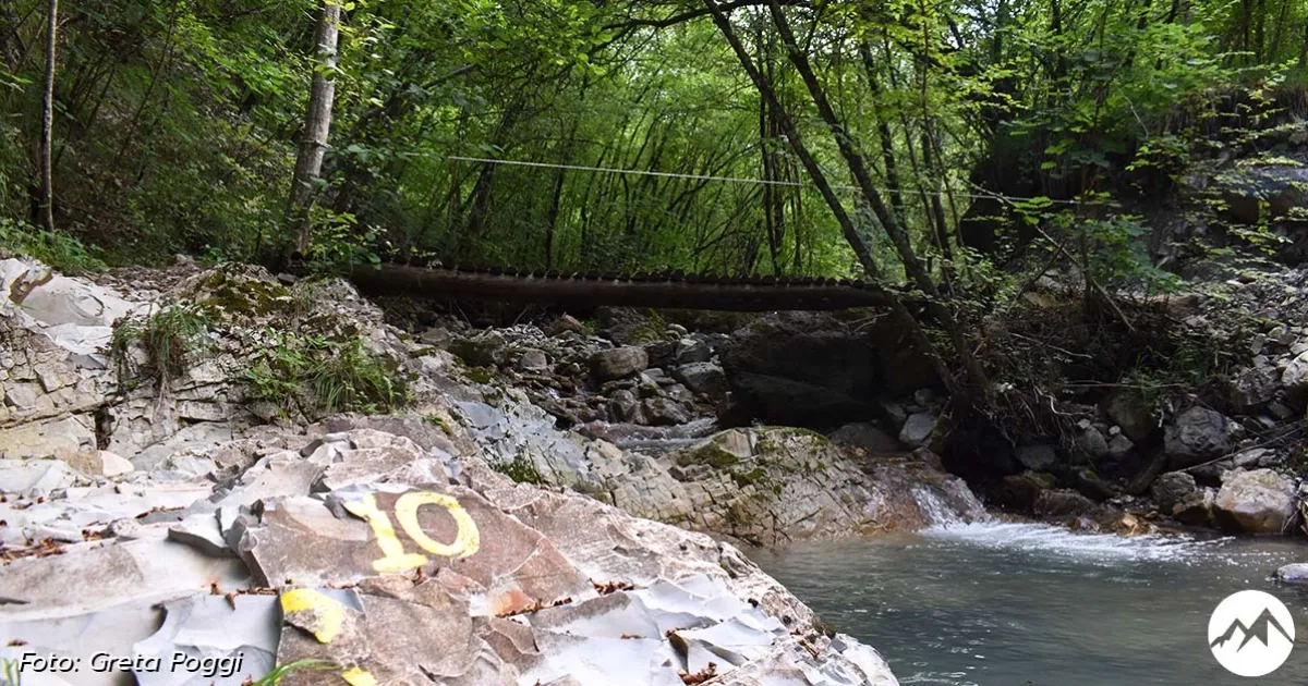 Immagine gallery 5 per Sentiero 10: Capannette - Mirǣi dal Cuass