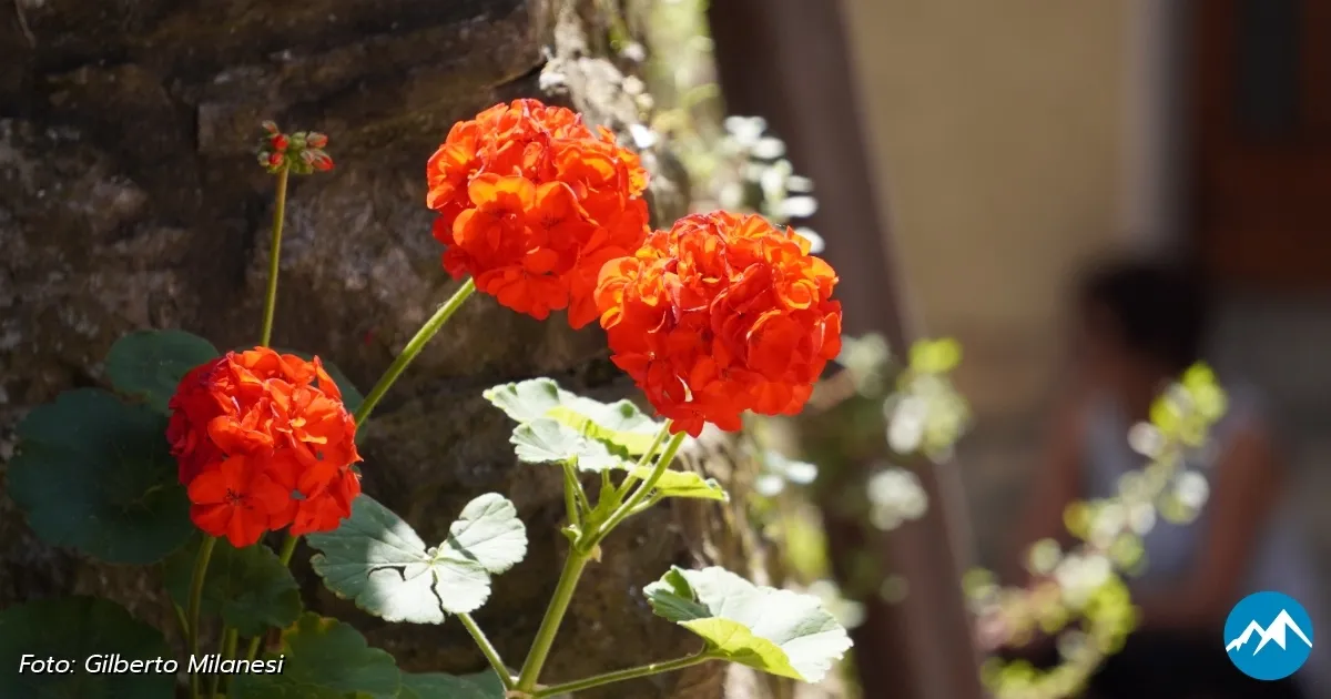 Immagine header 2 per Natura