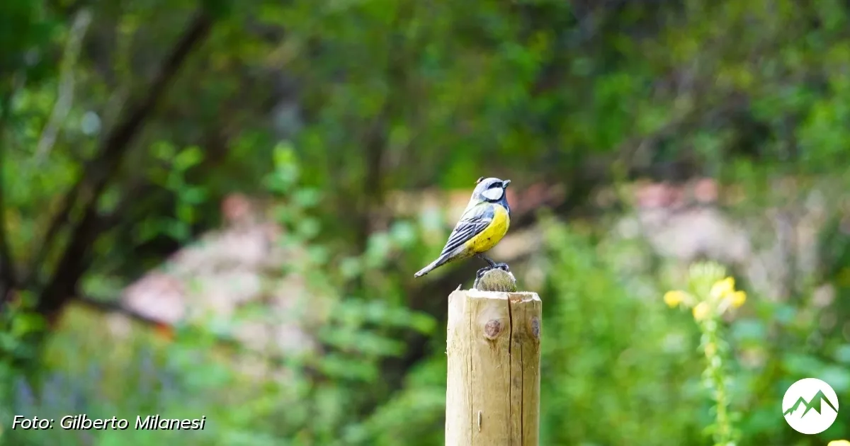 Immagine gallery 2 per Giardino Botanico di Pietra Corva