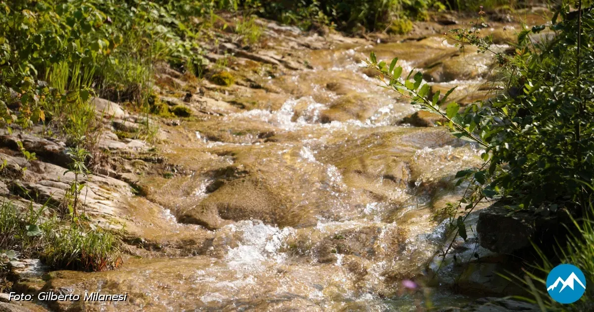 Immagine header 3 per Area Picnic 3: Piazzola della Brada