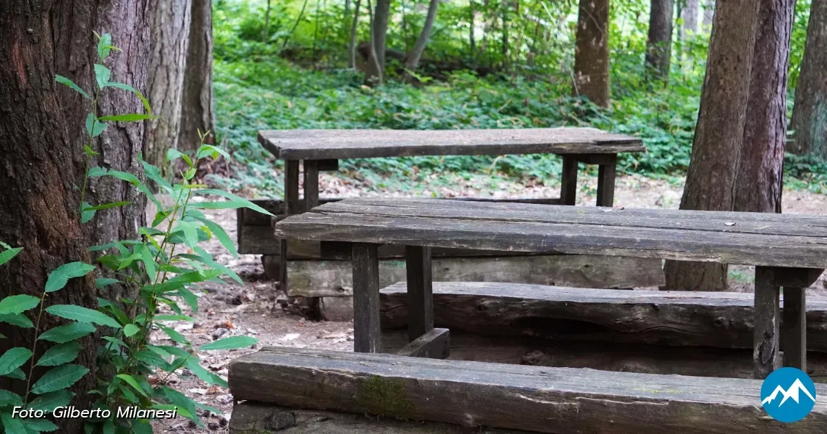 Immagine header 2 per Area Picnic 6: Giardino Botanico di Pietra Corva