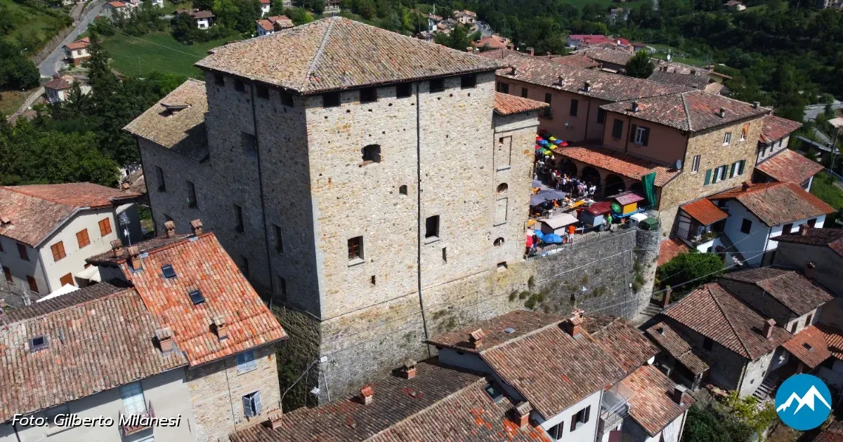 Immagine header 1 per Castello dal Verme