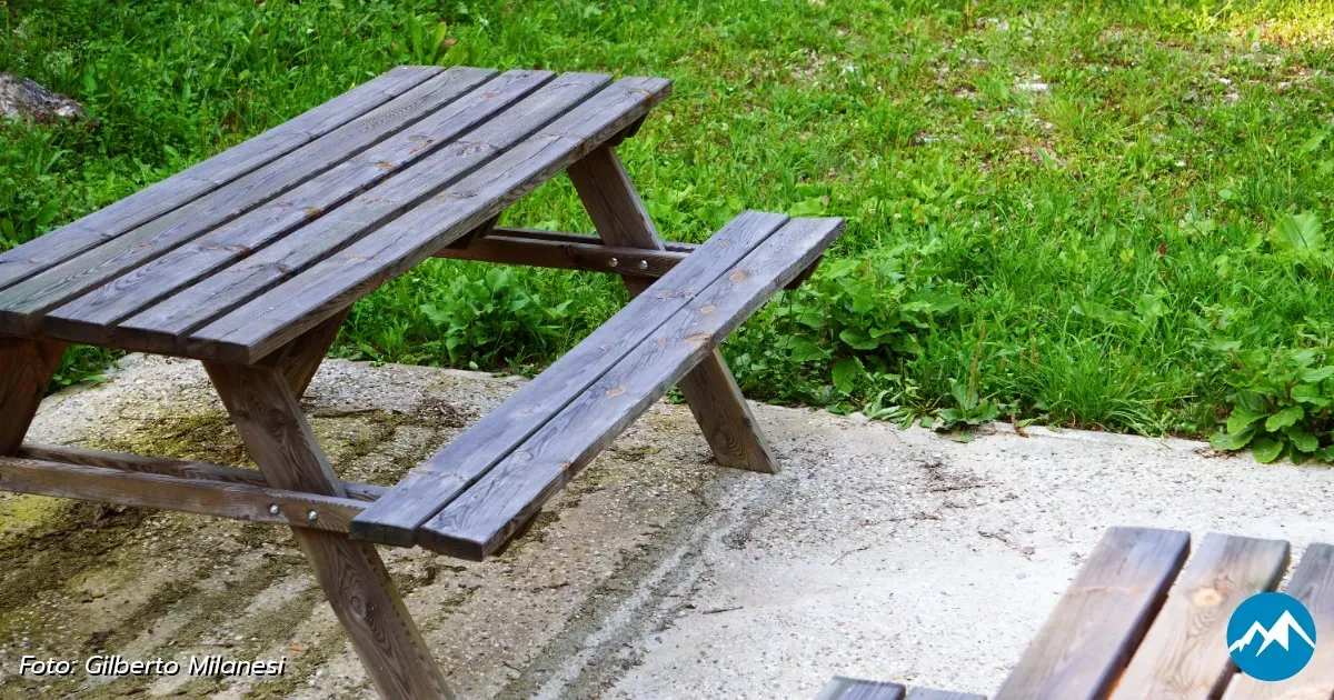 Immagine header 2 per Area Picnic 3: Piazzola della Brada