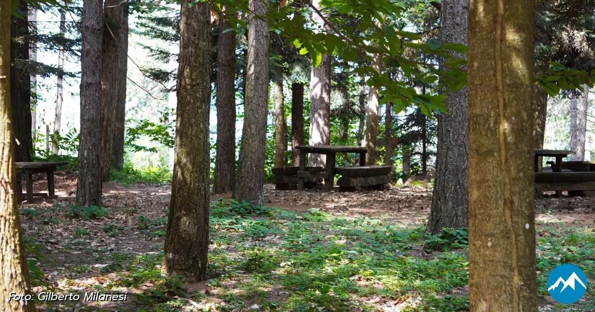 Immagine header 1 per Area Picnic 6: Giardino Botanico di Pietra Corva