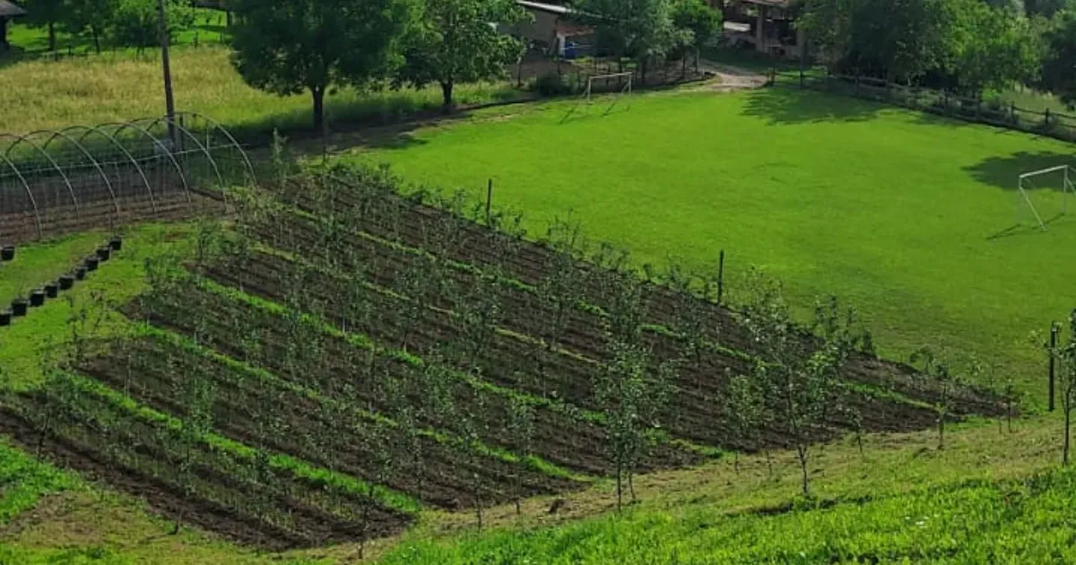 Immagine header 3 per Azienda Agricola Marsetti