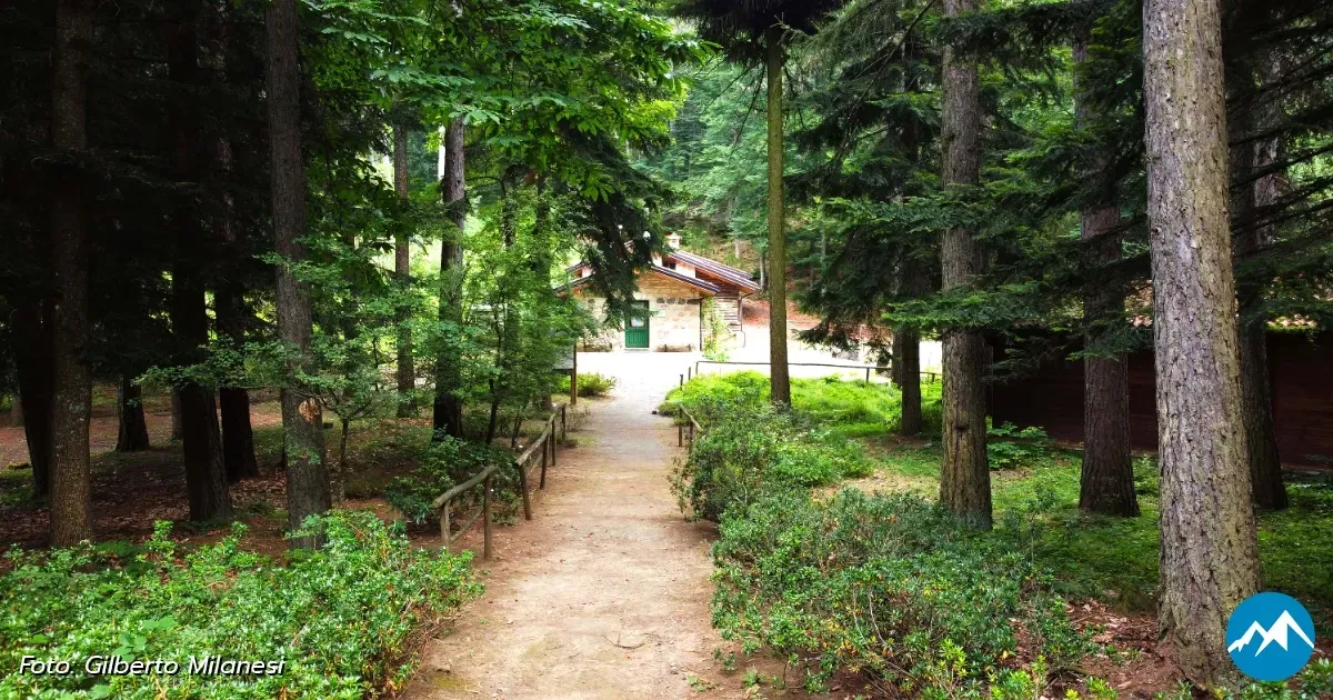 Immagine header 1 per Giardino Botanico di Pietra Corva