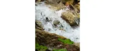immagine del borgo 4: Cascate del Rivarolo