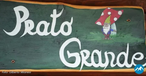 Area Picnic 4: Prato Grande