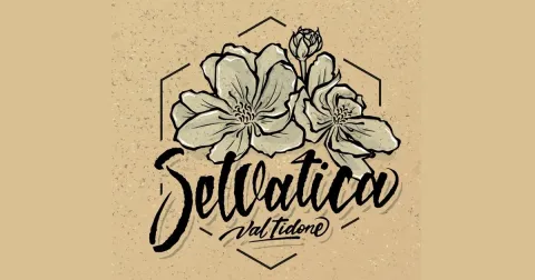 Immagine header 1 per Azienda Agricola Selvatica Val Tidone