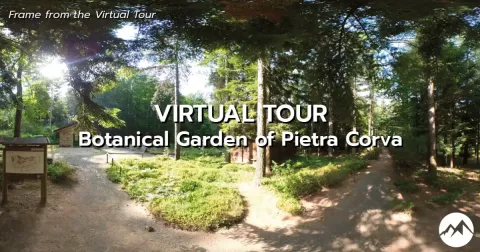 Visit the Botanical Garden of Pietra Corva