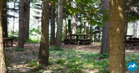 Area Picnic 6: Giardino Botanico di Pietra Corva