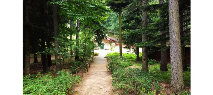 immagine del borgo 1: Botanical Garden of Pietra Corva