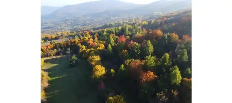 immagine del borgo 6: Romagnese