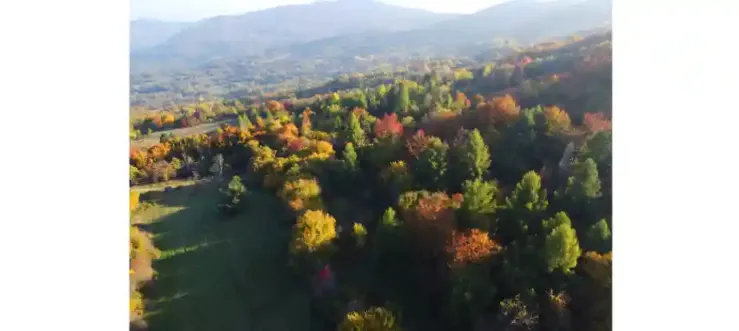 immagine del borgo 6: Town